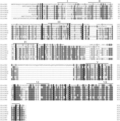 Functional Studies of Sex Pheromone Receptors in Asian Corn Borer Ostrinia furnacalis